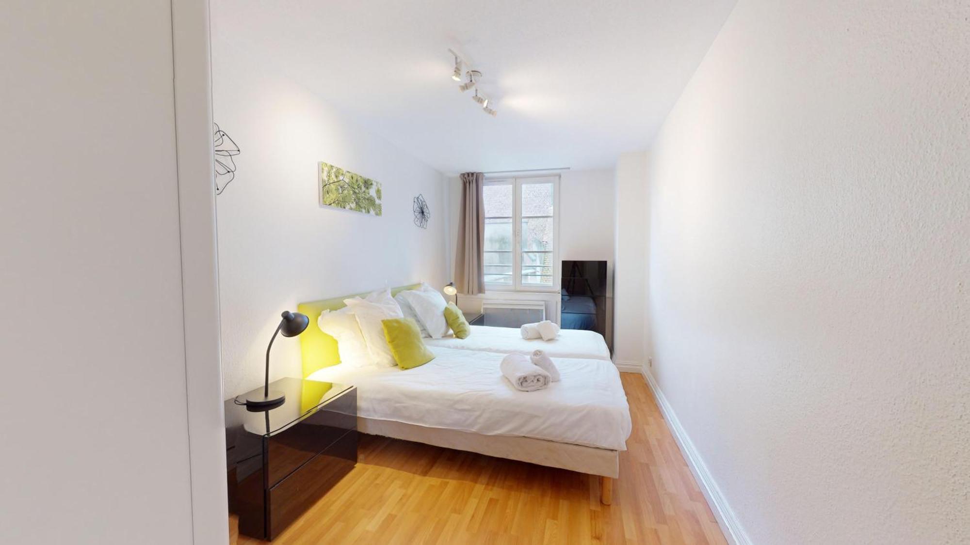 70 M² Strasbourg Appart City Center Exterior photo